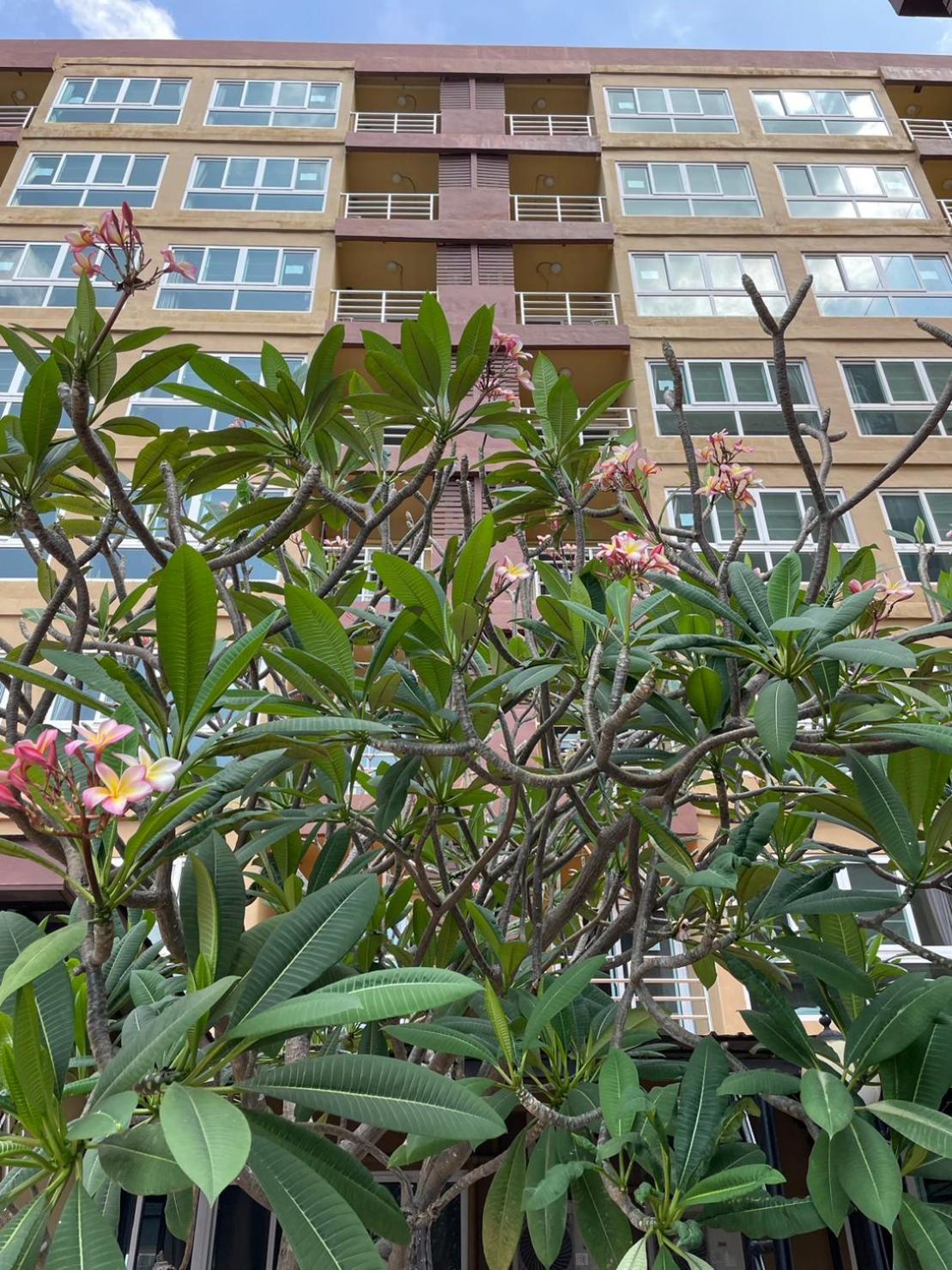 H2Do Hotel Ban Khlong Sanam Phli Luaran gambar